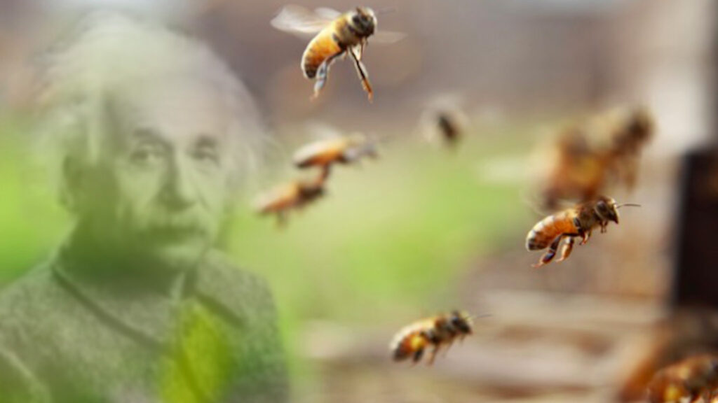 api einstain apicultura architettura
